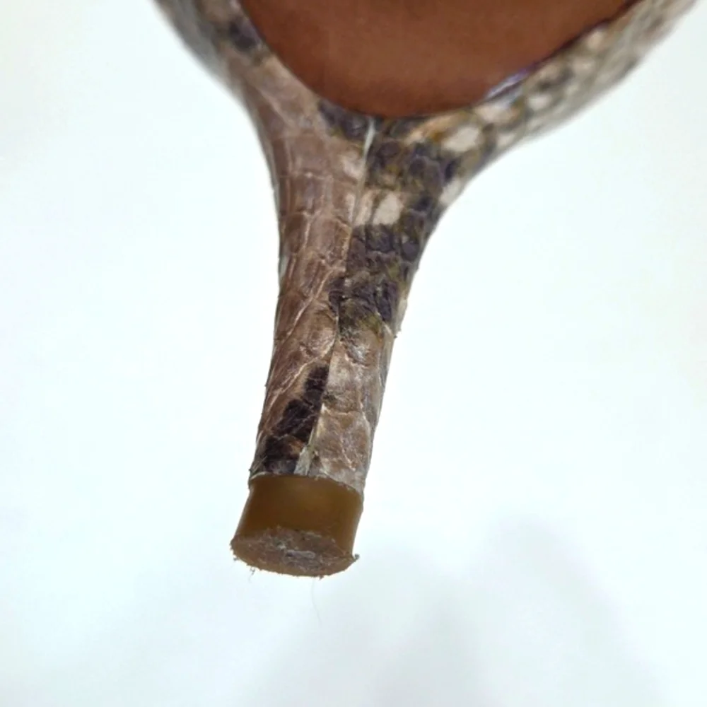 COACH Python Snakeskin Embossed Leather Pointed Toe Pumps Heels Sz 8